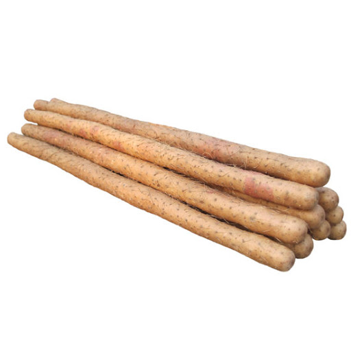 Fresh Iron Yum 1kg | 新鲜 铁棍山药 1kg