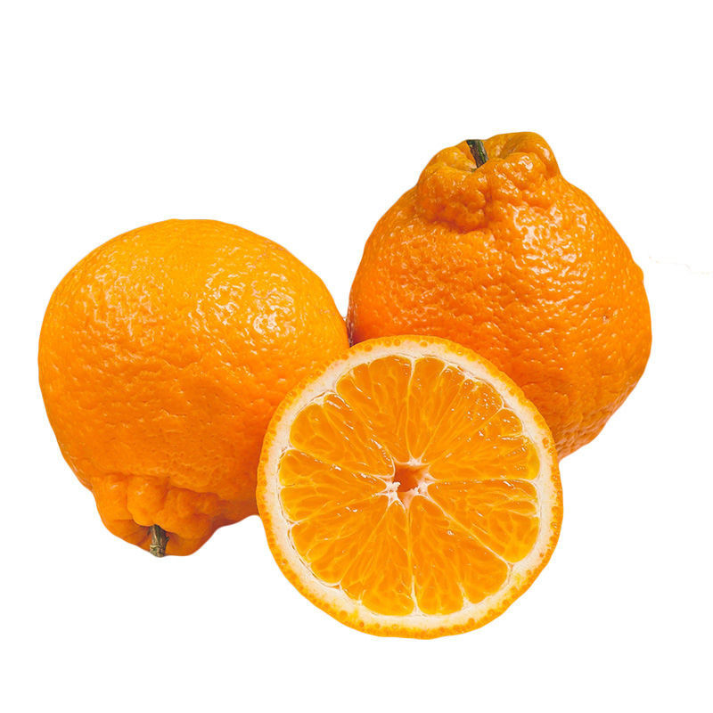 新鲜丑橘 | Fresh UGLY Mandarin / kg