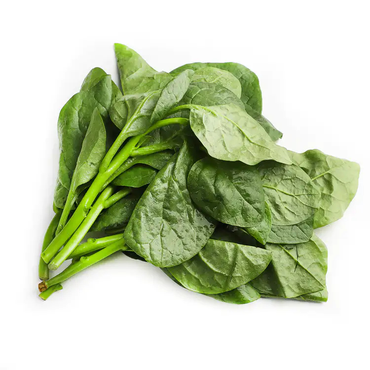 Tuore Sanchoi 1 kg