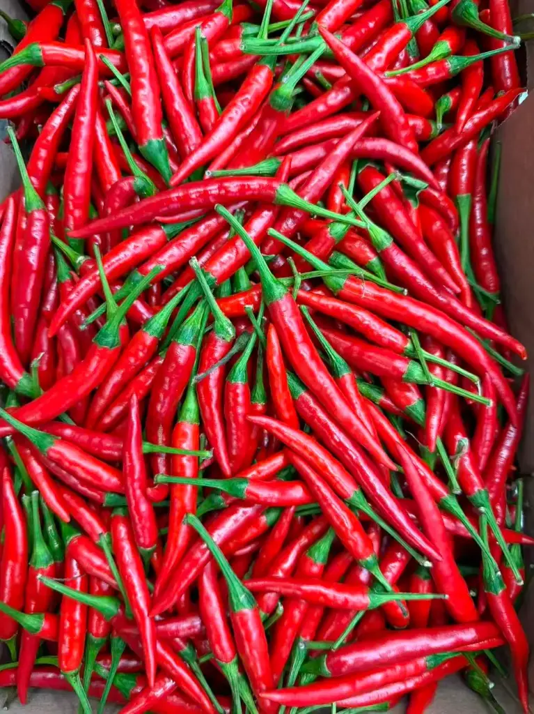 Red Rawit Chili / kg  | 红色小米辣 (称重)