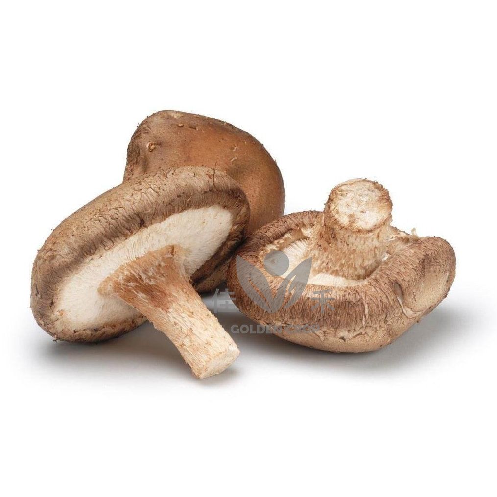 Fresh Shiitake 200g | 新鲜 香菇 200g