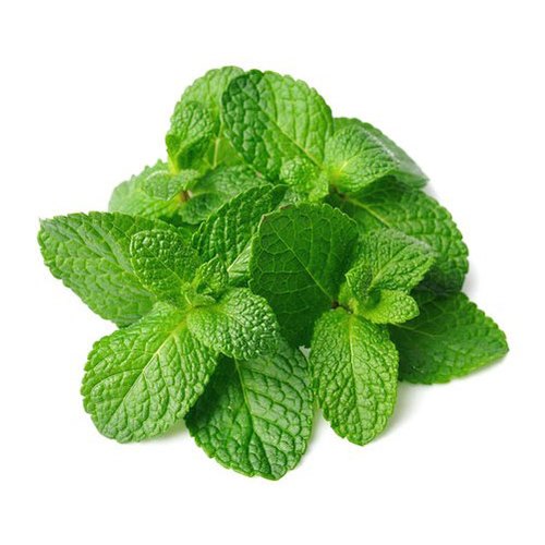 新鲜 薄荷叶 /把 | Fresh mint /pkt