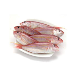 [80813] 金线鱼 1kg | Japanese Threadfinbream 1kg