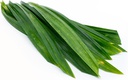 Th 新鲜斑兰叶 100g/pkt | TH Pandanus Leaf 100g/pkt
