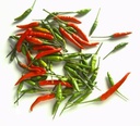 新鲜 鸟眼辣椒 100g | Fresh TH Bird Eye Chilli 100g