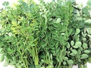新鲜 泰国 辣木叶 200g/包 | Fresh Thailand Moringa Olelfera Lamk 200g/PKT