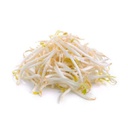 新鲜 绿豆芽 250g/包 | Fresh Ituja/Bean Sprouts 250g/PKT