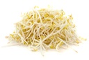 新鲜 绿豆芽 1kg/包 | Fresh Ituja/Bean Sprouts 1kg/PKT