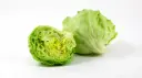 新鲜 沙拉生菜 1kg | Fresh Iceberg Lettuce/Green Salad 1kg