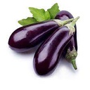 Eggplant Purple 5kg/ctn | 整箱 茄子 5kg/ctn