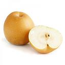 Korean Pear 1kg | 新高梨 1kg