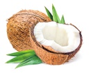 Coconut 1kg | 新鲜椰子 1kg