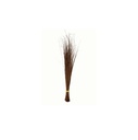 TINGTING Sweeping Broom Walls Tingting /pc | TINGTING牌 硬扫帚 /个