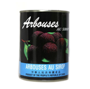 Arbutus in Syrup 567g | 糖水杨梅 567g