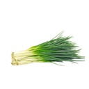 Spring onion 100g/pkt | 新鲜 香葱 100g/把