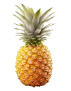 新鲜 菠萝 整箱 13kg/CTN | Fresh Pineapple 13kg/CTN