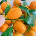 Kumquats 250G/unit | 新鲜 金桔 250G/unit