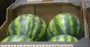 西班牙 西瓜 整箱 20kg/CTN | Spain Watermelon 20kg/CTN
