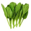 新鲜 EA 短菜心 1kg | Fresh EA Short Choisam 1kg