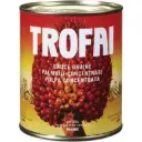 TROFAI Palm Nut Concentrate 800g | TROFAI 棕榈果浓缩酱 800g