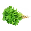 Fresh Coriander /kg | 新鲜 香菜 称重 /kg