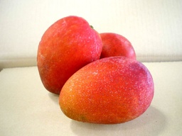[10659] Fresh Vliegtuig Mango / kg | 新鲜 太阳芒果/ kg