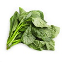 新鲜 木耳菜 1kg | Fresh Sanchoi 1kg